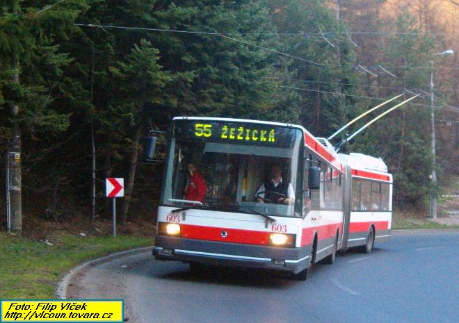 Nzkopodlan trolejbus 22Tr na lince 55 v Dlcch