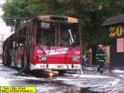 Vyhoel trolejbus u ZOO (66618 bytes)